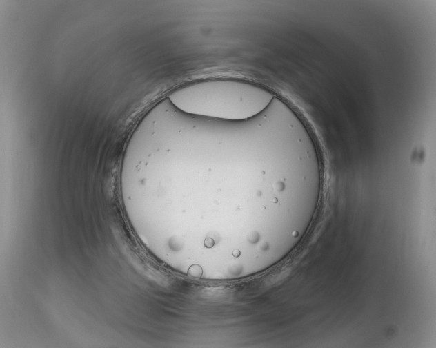 X0000112800153200908211011