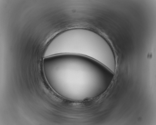 X0000112800154200908211011