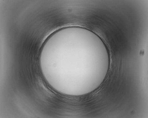X0000112800156200908211011