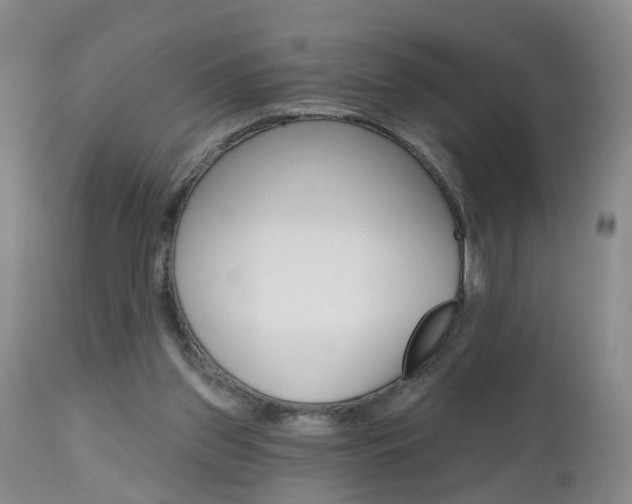 X0000112800157200908211011