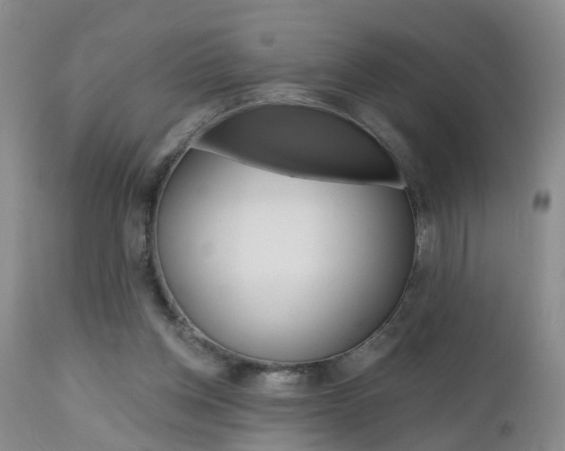 X0000112800158200908211011