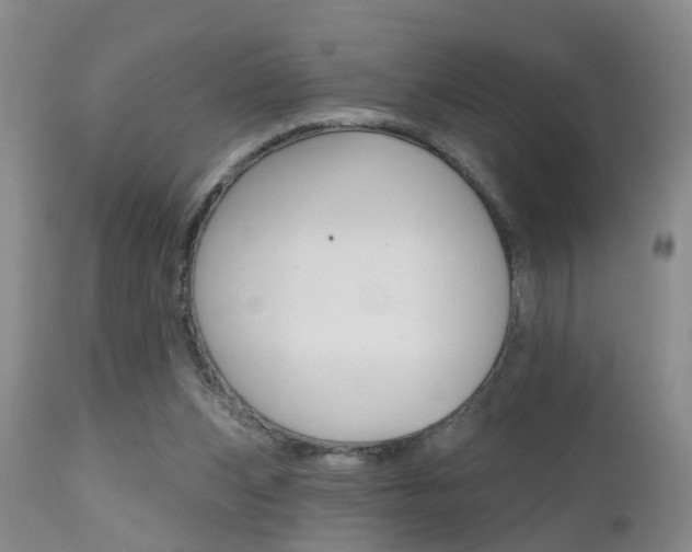 X0000112800159200908211011