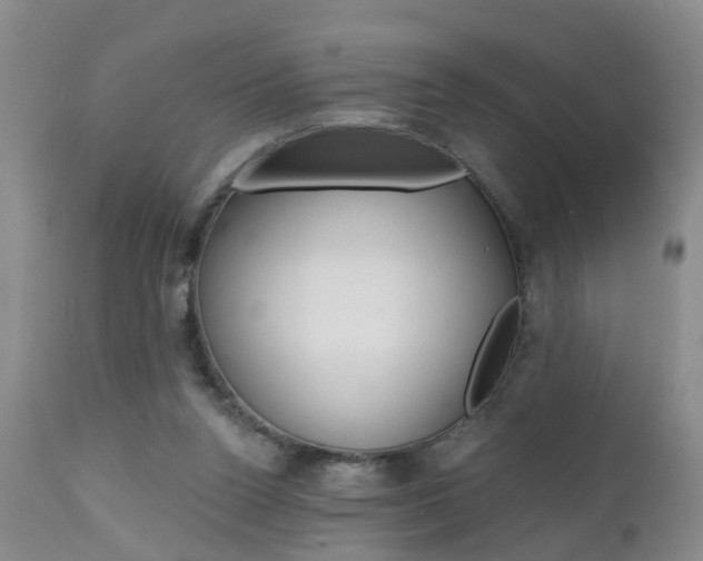X0000112800160200908211011