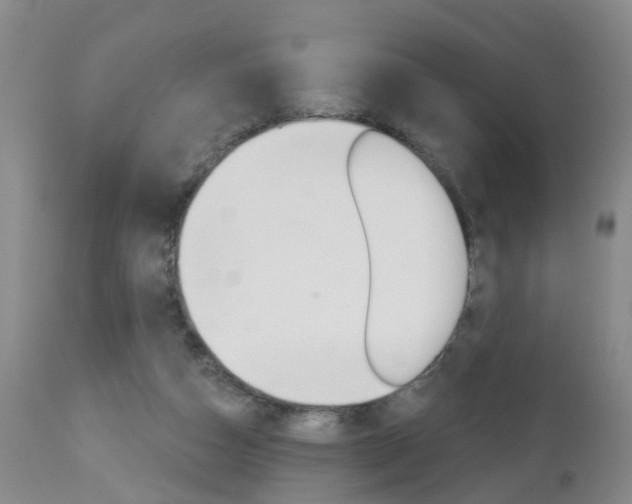 X0000112800162200908211011