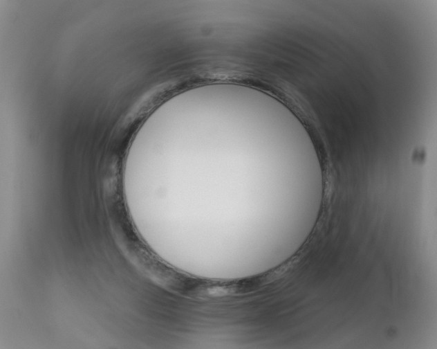 X0000112800163200908211011
