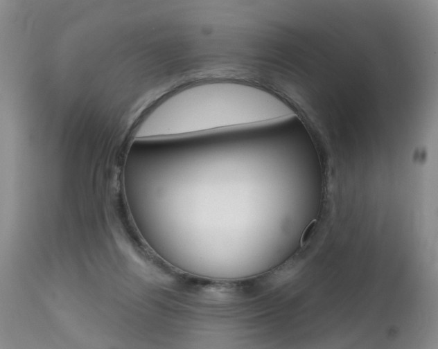 X0000112800164200908211011