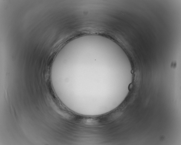 X0000112800165200908211011