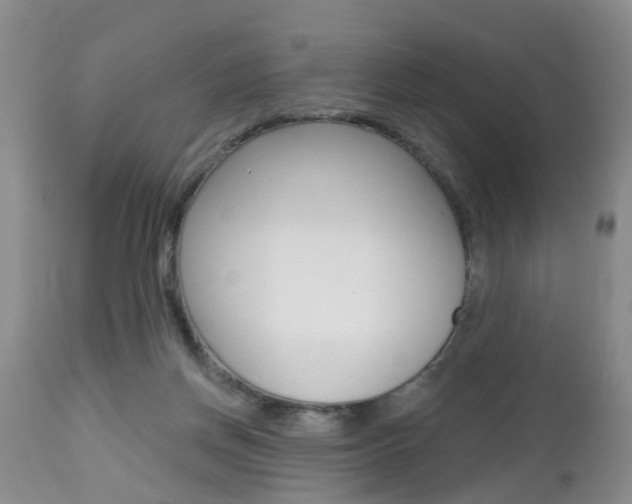 X0000112800166200908211011