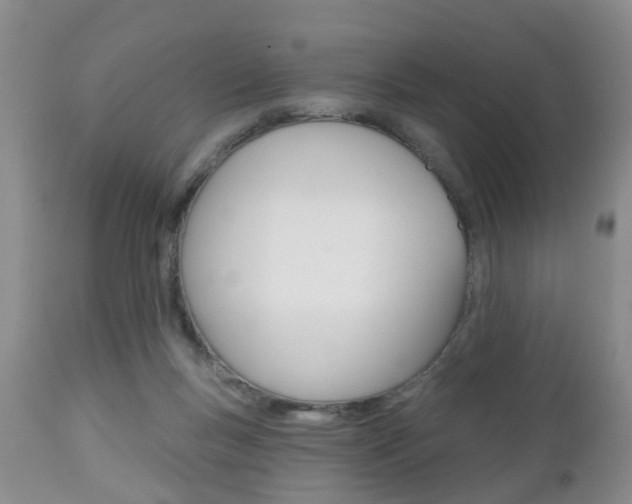 X0000112800167200908211011