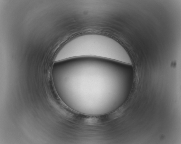 X0000112800168200908211011