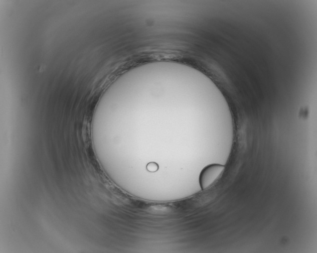 X0000112800169200908211011