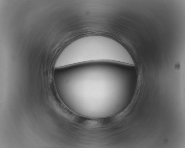 X0000112800170200908211011