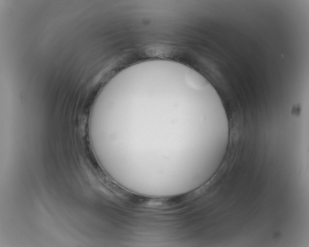 X0000112800171200908211011