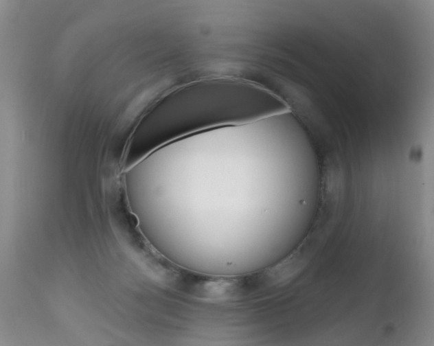 X0000112800172200908211011
