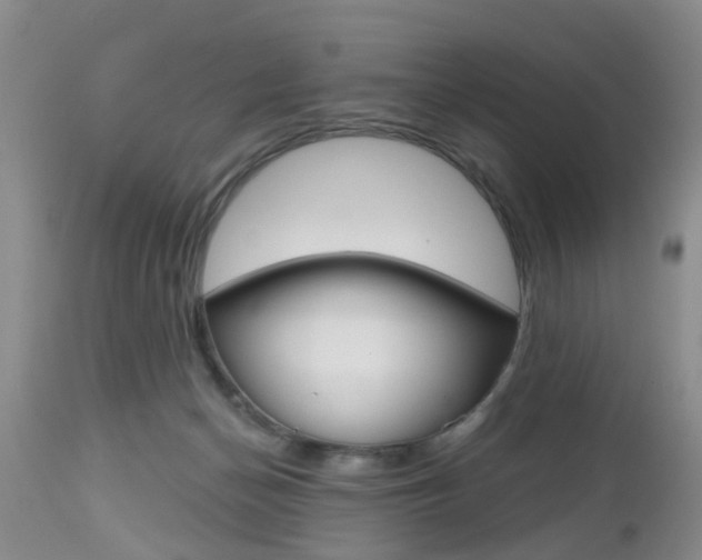 X0000112800174200908211011