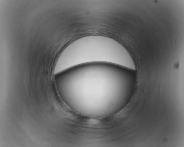 X0000112800176200908211011