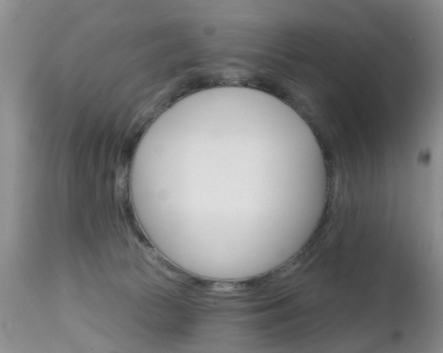 X0000112800177200908211011