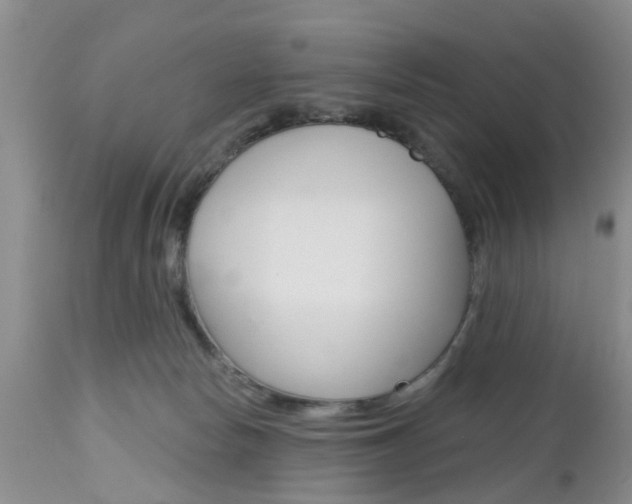 X0000112800178200908211011