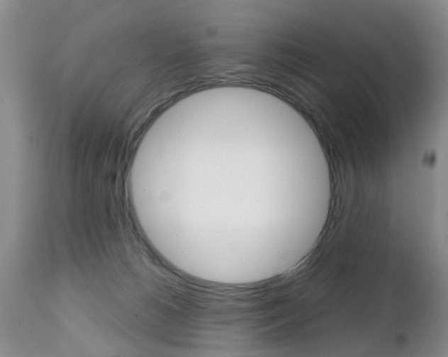 X0000112800180200908211011
