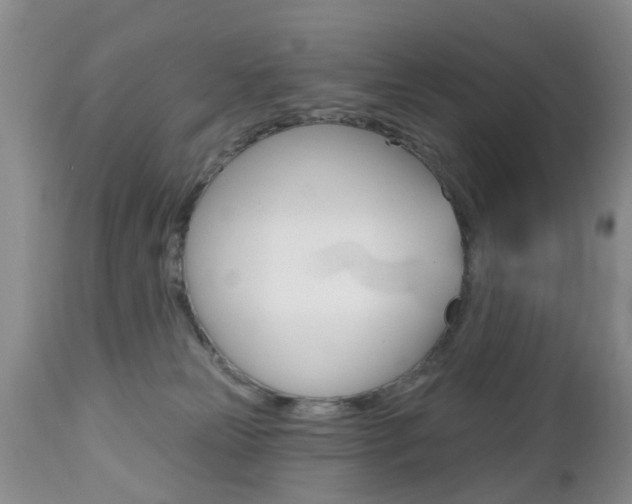 X0000112800181200908211011