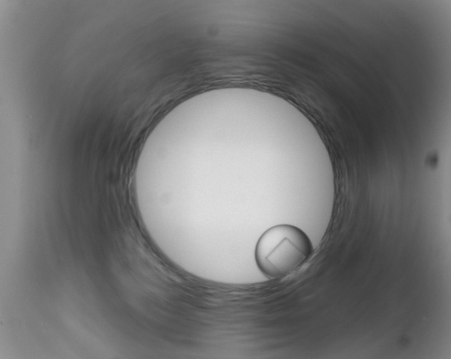 X0000112800184200908211011