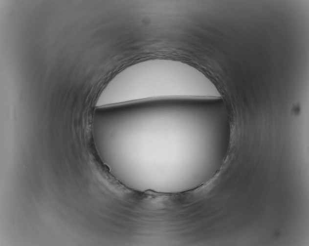 X0000112800186200908211011