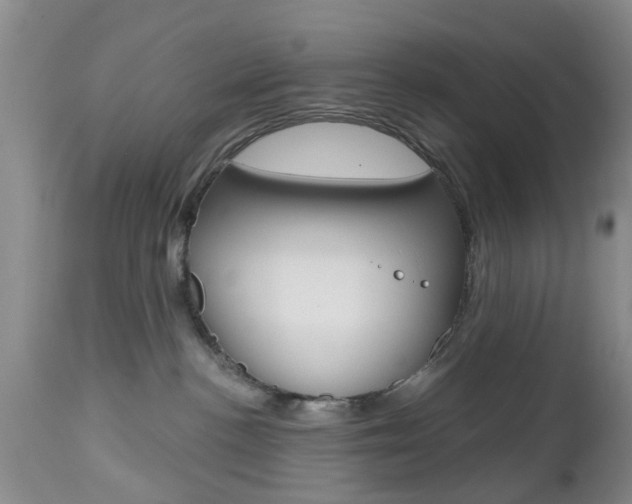 X0000112800188200908211011