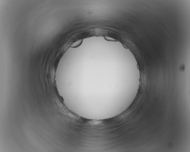 X0000112800189200908211011