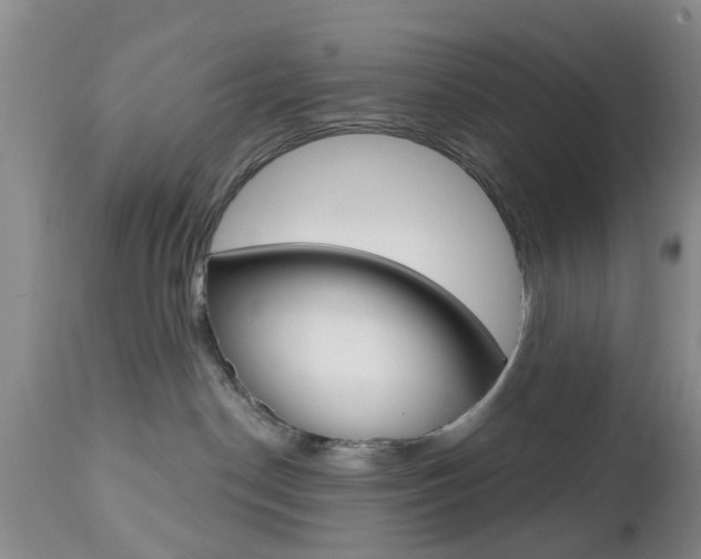 X0000112800190200908211011