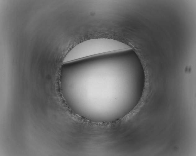 X0000112800192200908211011