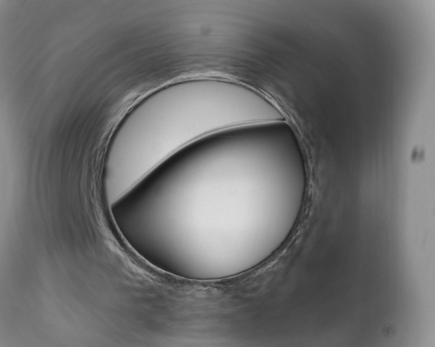 X0000112800193200908211011