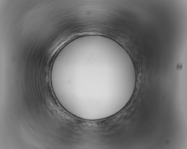 X0000112800194200908211011