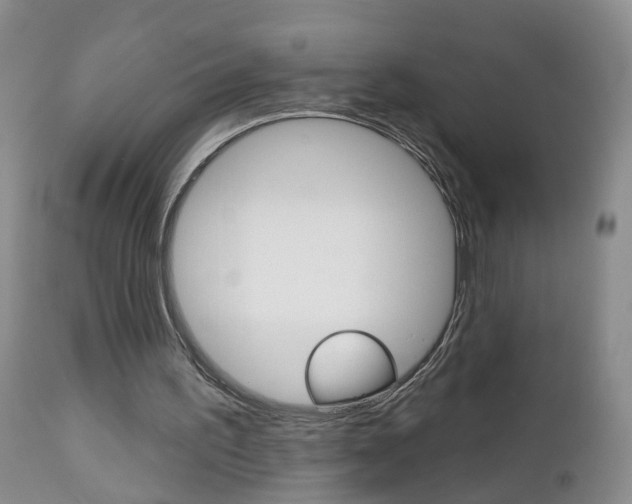 X0000112800195200908211011