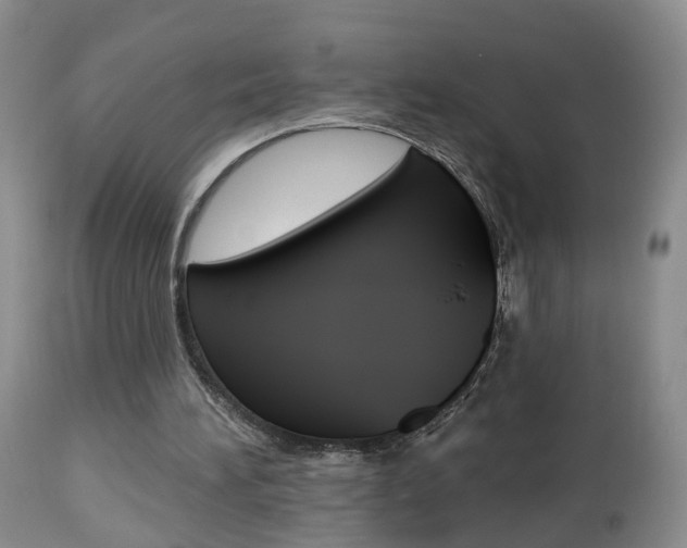 X0000112800196200908211011
