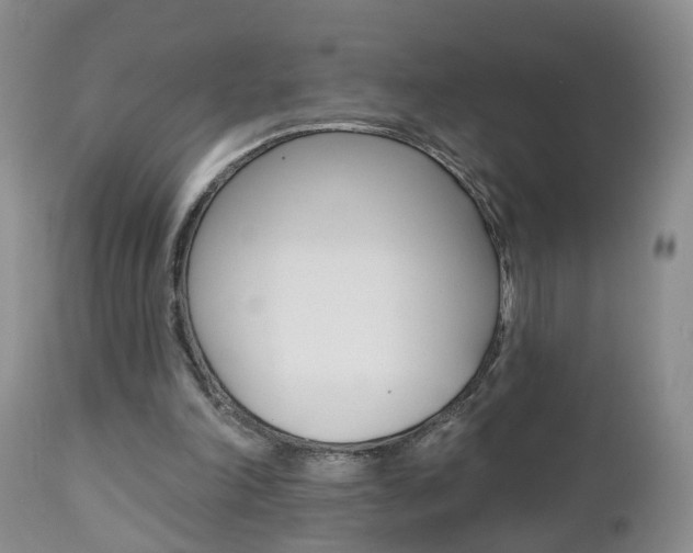 X0000112800198200908211010