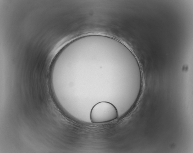 X0000112800199200908211010