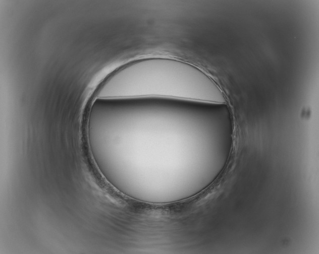 X0000112800200200908211010