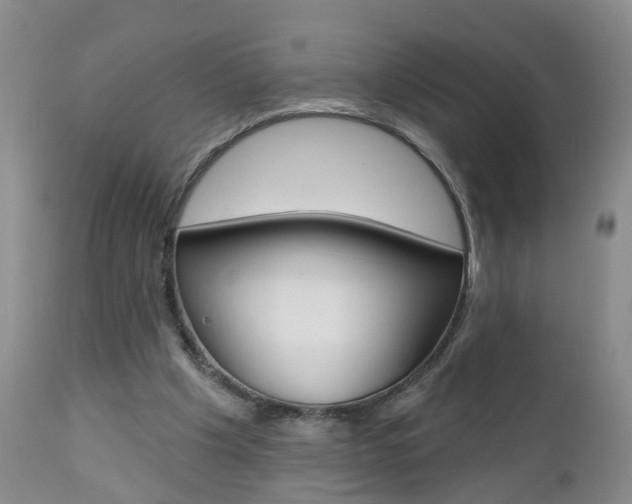 X0000112800201200908211010