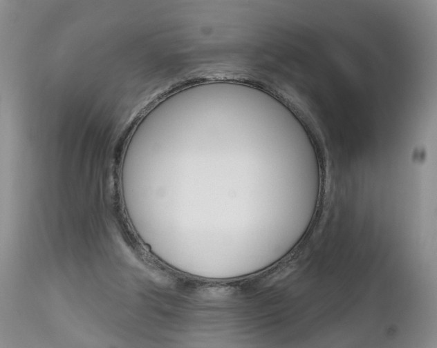 X0000112800202200908211010