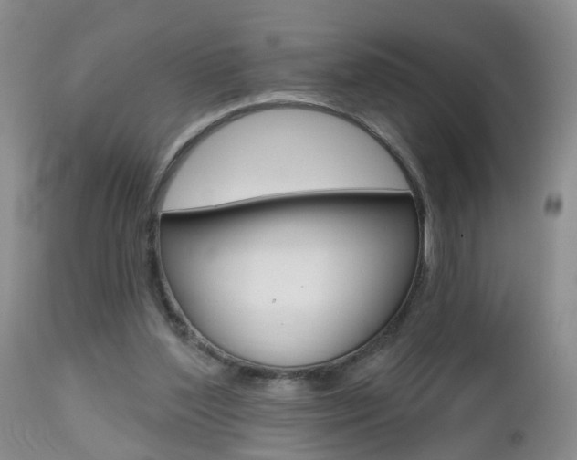 X0000112800204200908211010