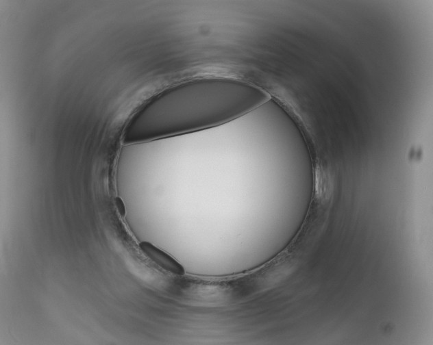 X0000112800205200908211010