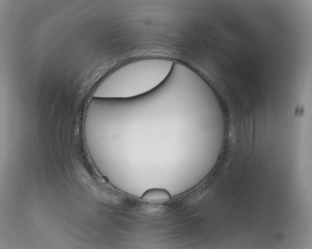 X0000112800206200908211010