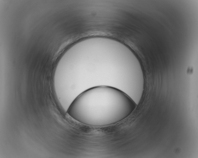 X0000112800207200908211010
