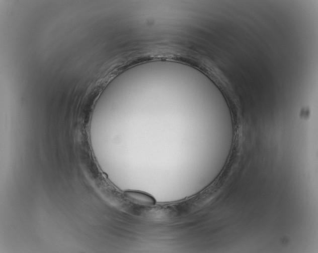X0000112800209200908211010