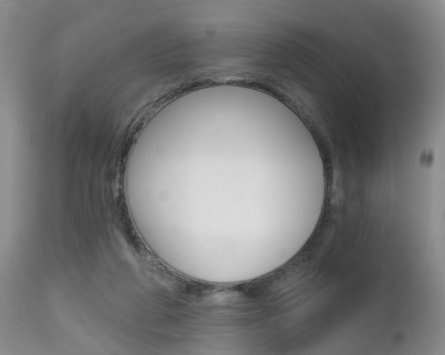 X0000112800210200908211010