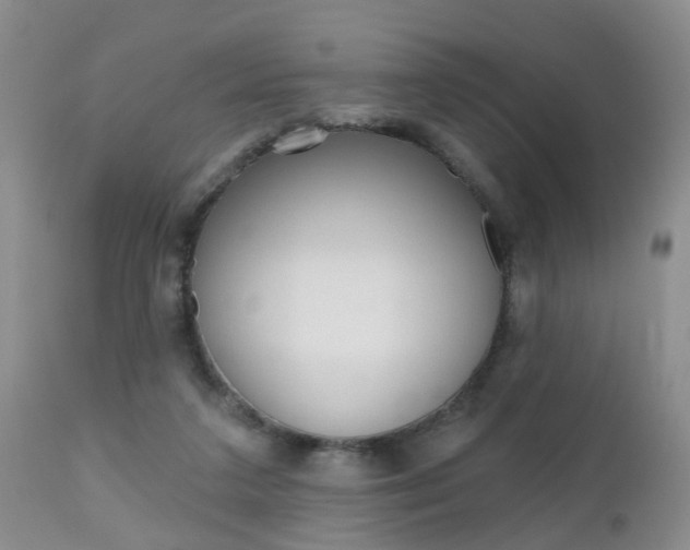 X0000112800211200908211010