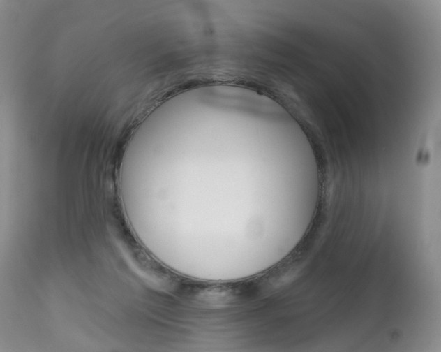 X0000112800213200908211010