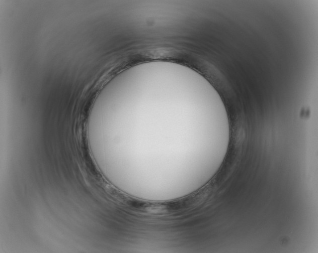 X0000112800214200908211010