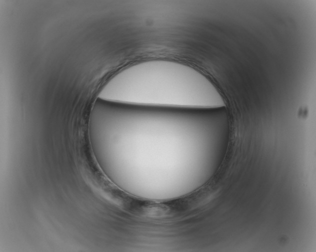 X0000112800215200908211010