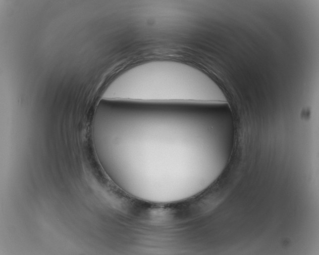 X0000112800216200908211010